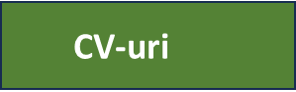cv-uri.png